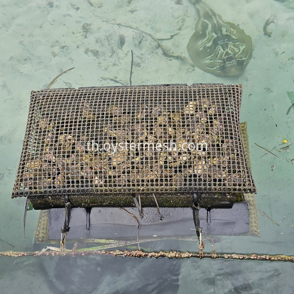 9mm Foam Oyster Mesh Bag